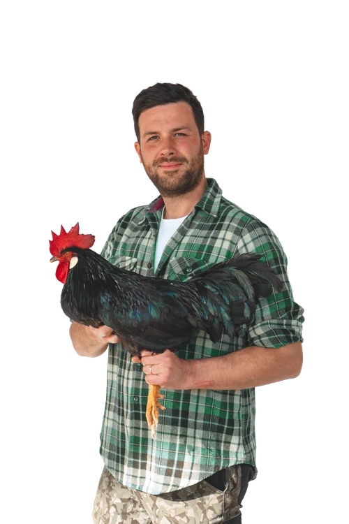 Matt con il gallo, fotografia originale del marchio